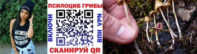 kraken онион  даркнет сайт  Карачаевск  Псилоцибиновые грибы MAGIC MUSHROOMS 