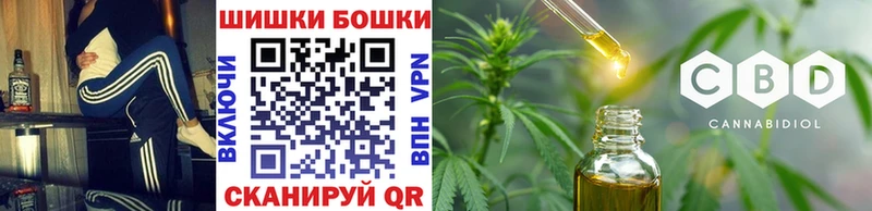 Шишки марихуана конопля  где купить наркоту  мега вход  Карачаевск 